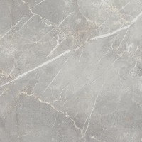 Керамогранит Italon Charme Evo Imperiale Naturale 60x60, 610010000781 Керамогранит Italon Charme Evo Imperiale Naturale 60x60, 610010000781